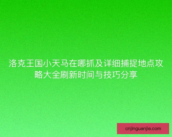 洛克王国小天马在哪抓及详细捕捉地点攻略大全刷新时间与技巧分享